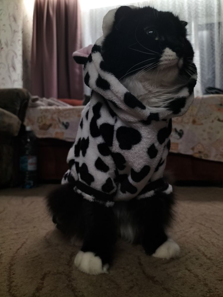 Фотография автора Максим Гафнер