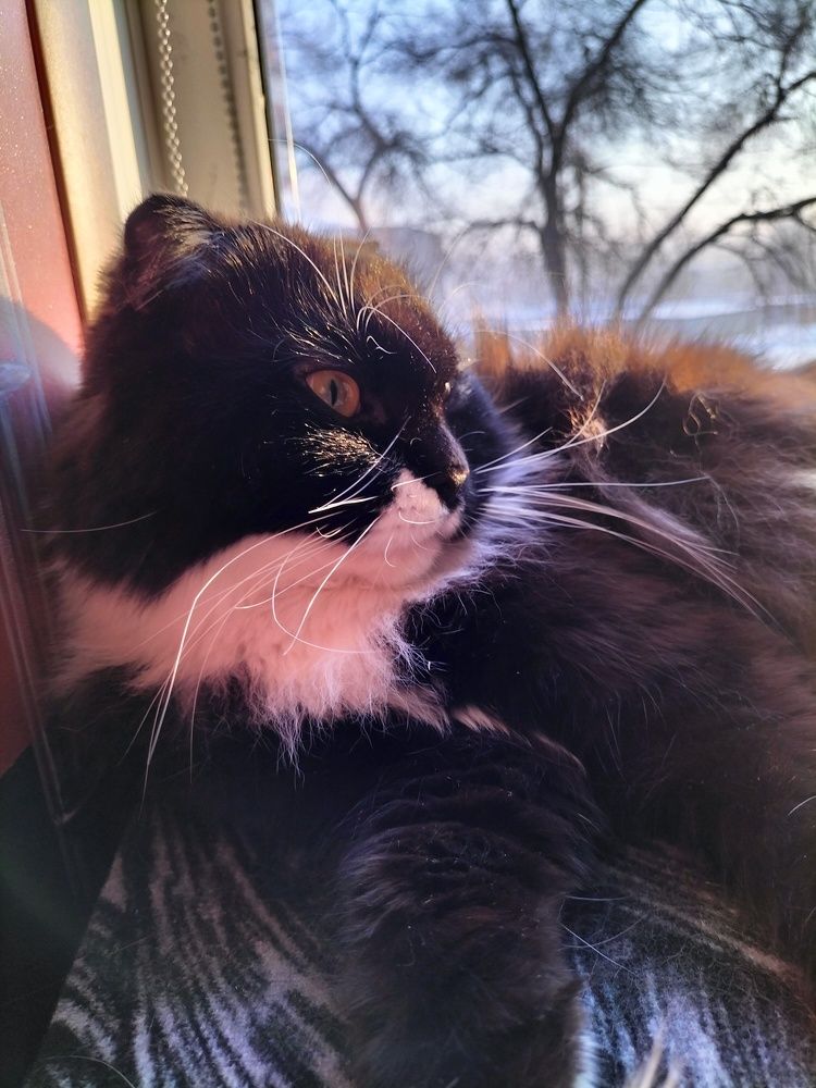 Фотография автора Максим Гафнер