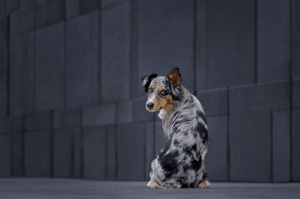 Photograph by Daniela Schmid