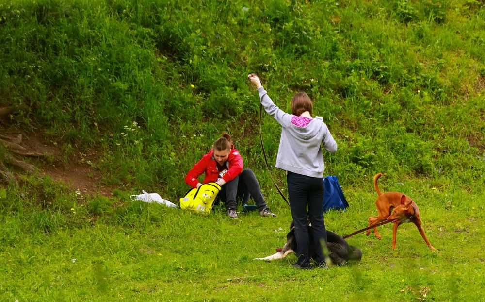 Photograph by Гагик Саркисян