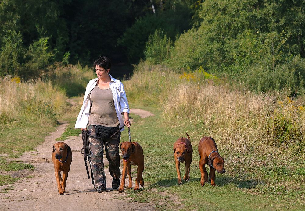 Photograph by Гагик Саркисян