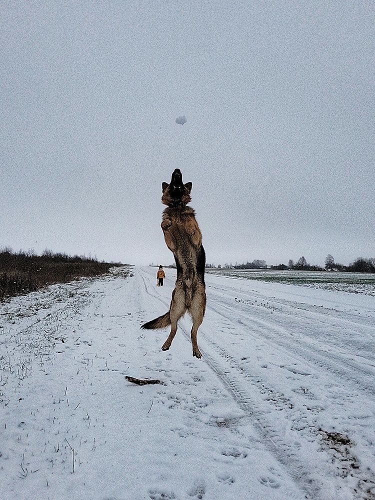 Photograph by Алина