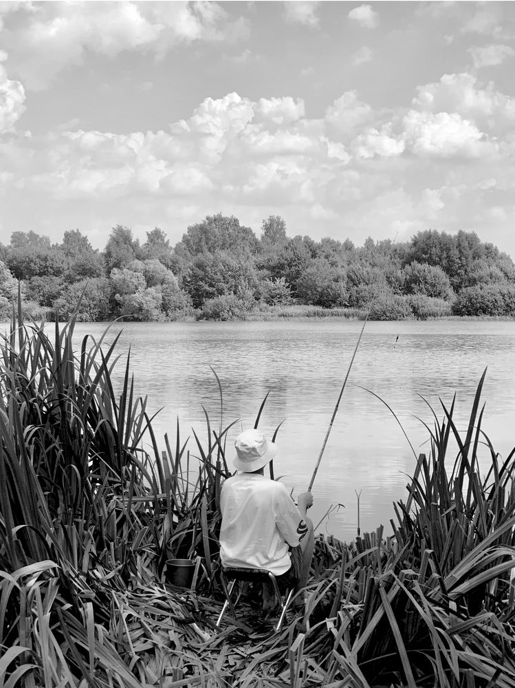 Photograph by Светлана Моисеева