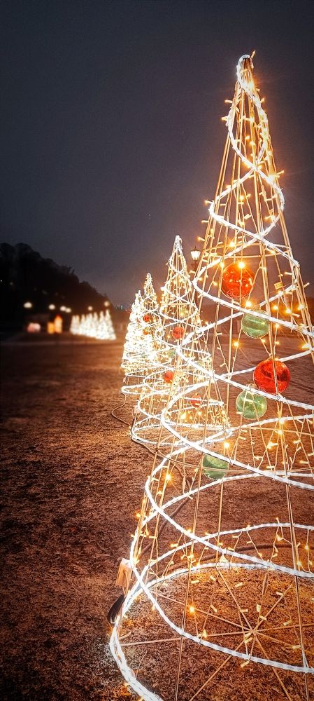 Photograph by Mishel Photographer