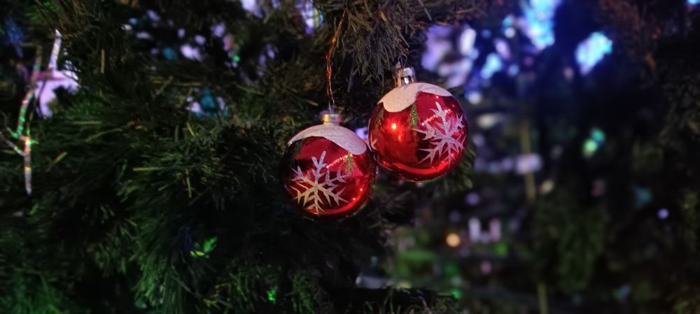 Photograph by Mishel Photographer