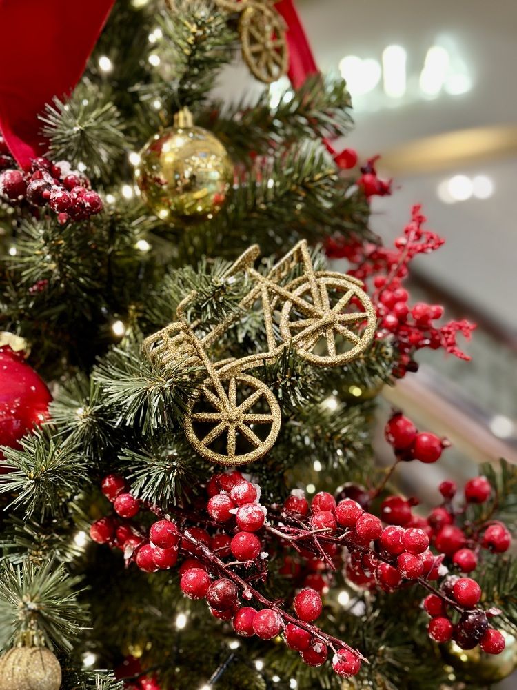 Photograph by Елена Брижеватая