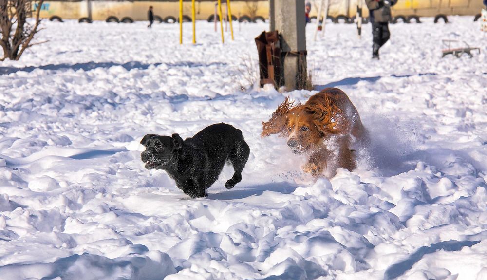 Photograph by Михаил Баевский