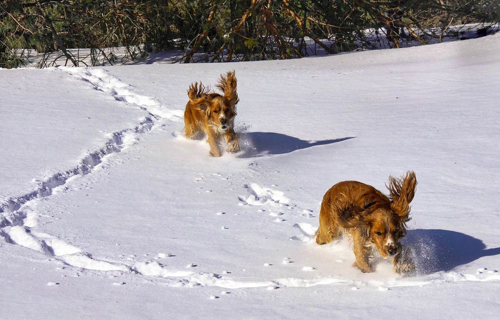 Photograph by Михаил Баевский