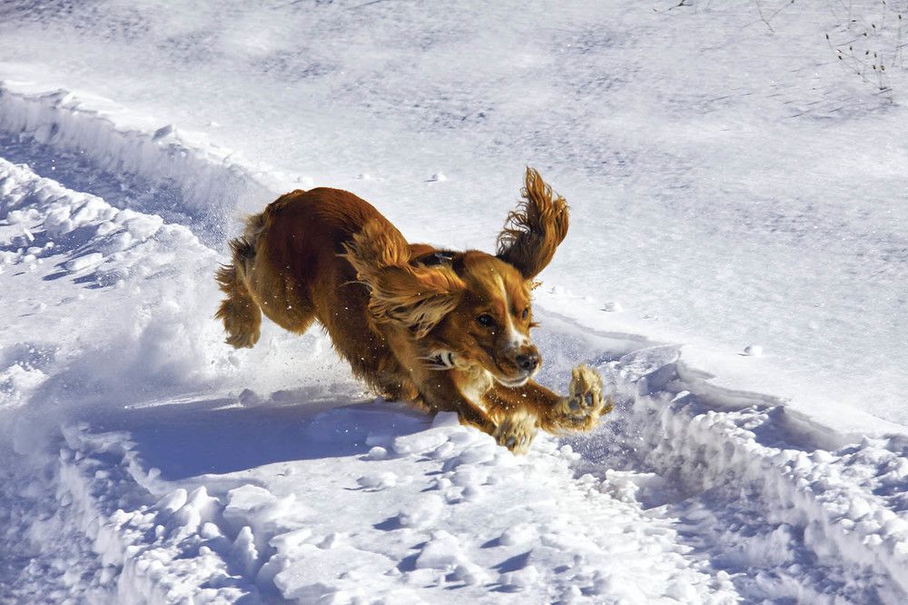 Photograph by Михаил Баевский