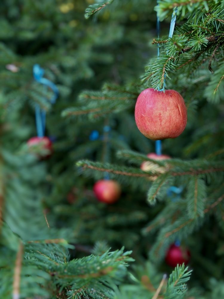 Photograph by Елена Брижеватая