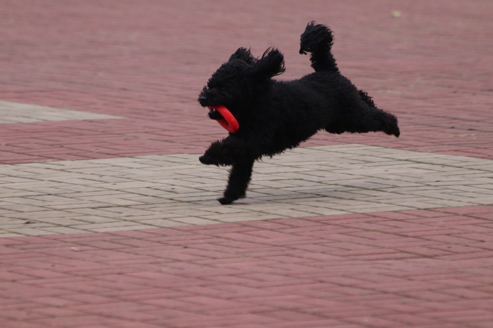 Photograph by Елена Иванкина