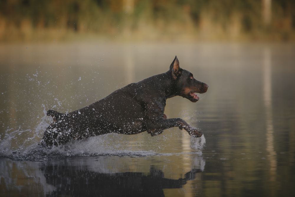 Photograph by Мария Клещенко