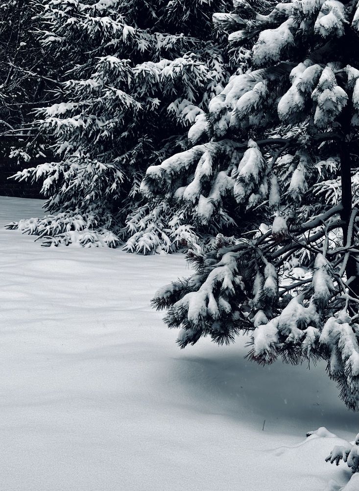 Photograph by Елена Брижеватая