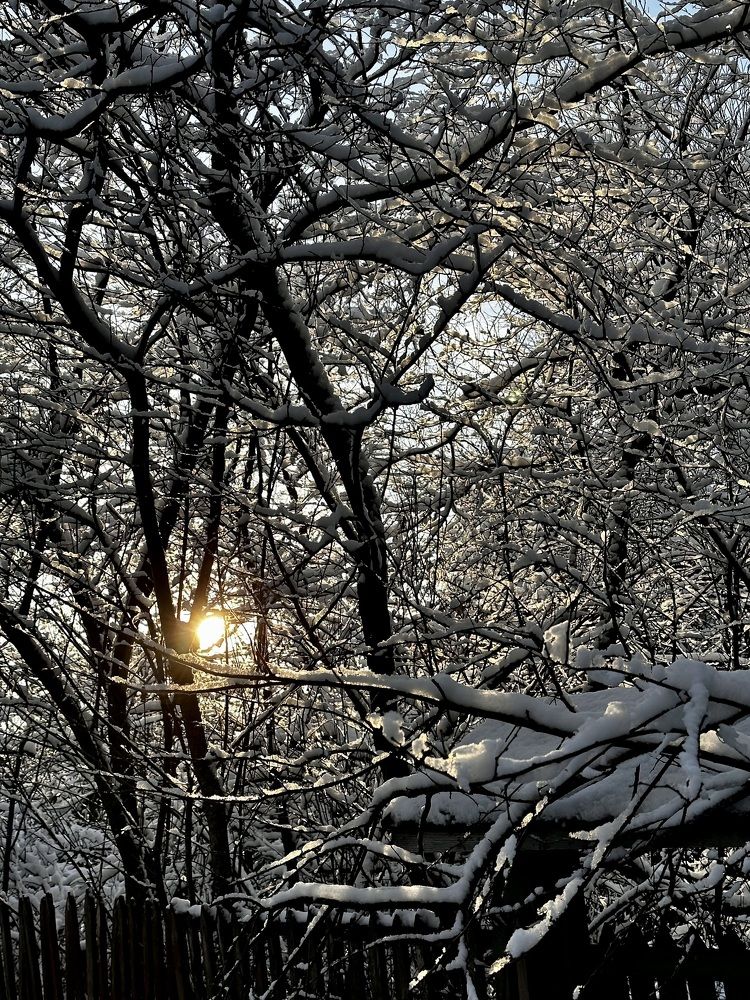 Photograph by Елена Брижеватая