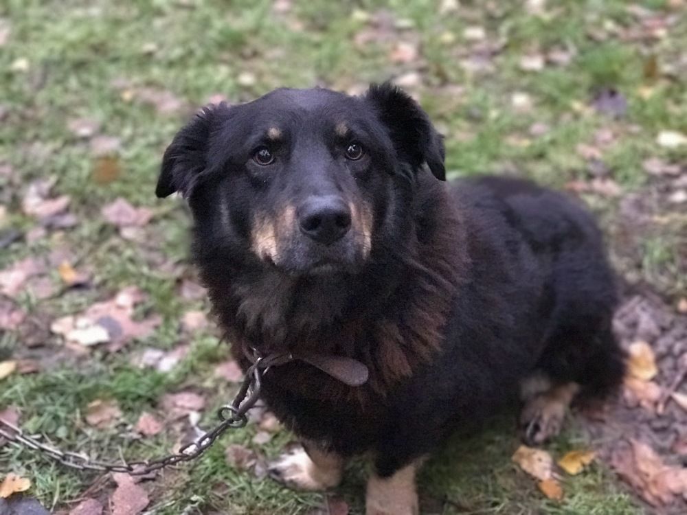 Photograph by Елена Брижеватая