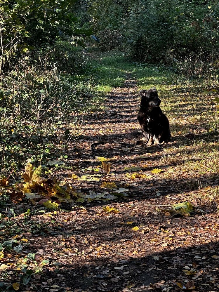 Photograph by Елена Брижеватая