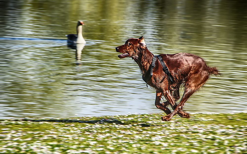 Фотография автора Александр