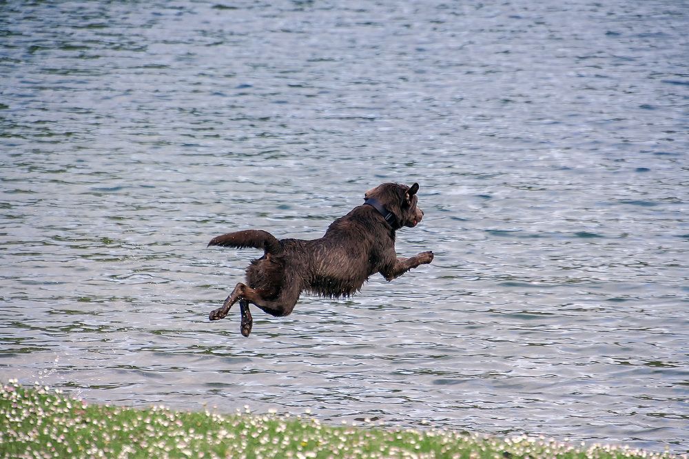 Фотография автора Александр