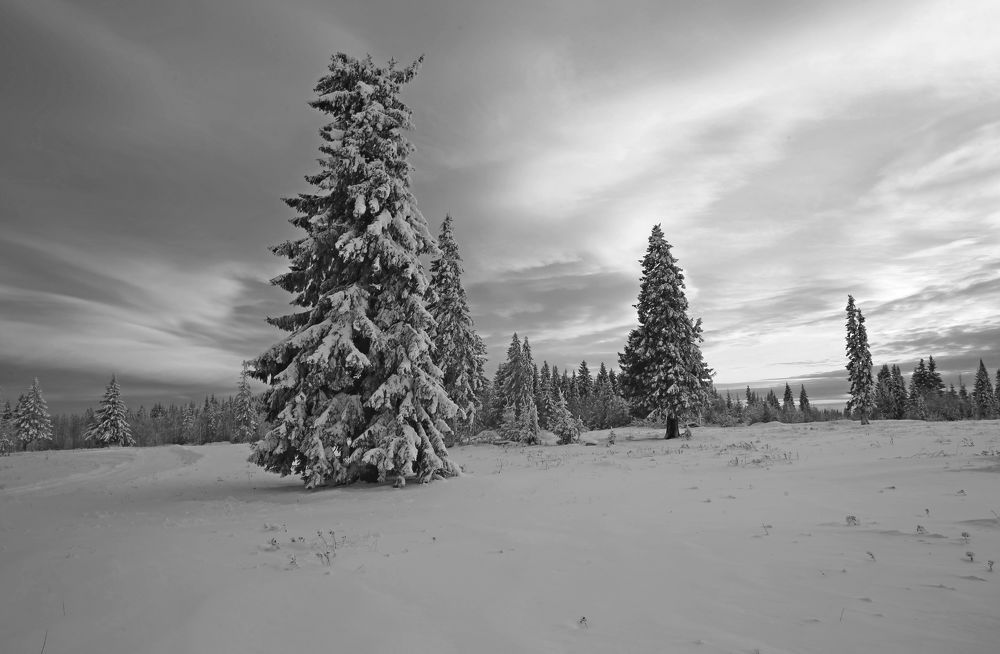 Фотография автора Юрий Кетель