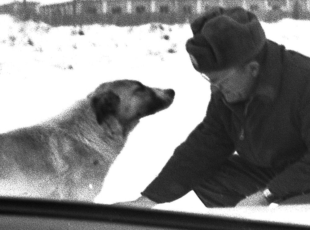 Photograph by Владимир Малёшин