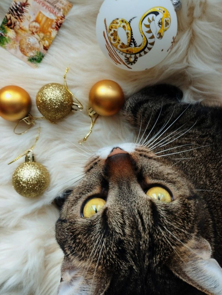 Photograph by Ия Дирко