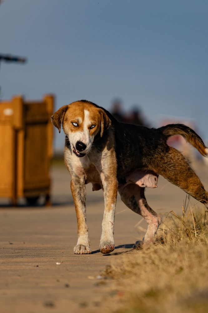 Photograph by Siarhei Saladukhin