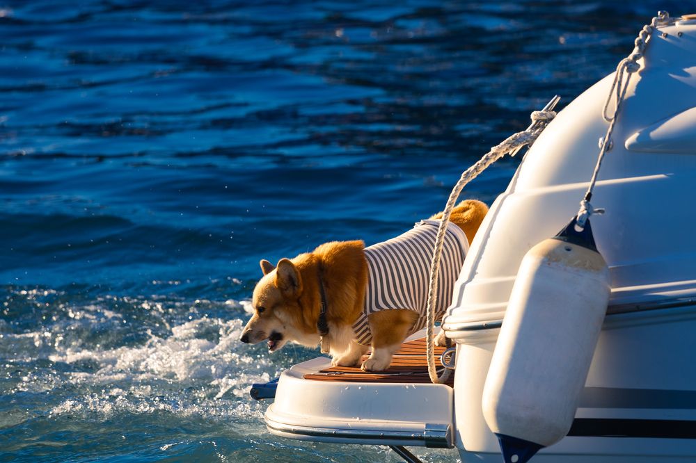 Photograph by Siarhei Saladukhin