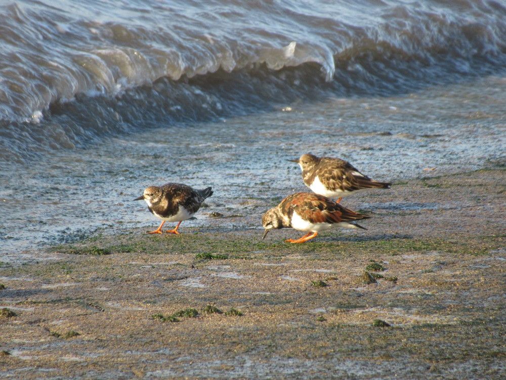 Photograph by Leonid Yarmolinsky