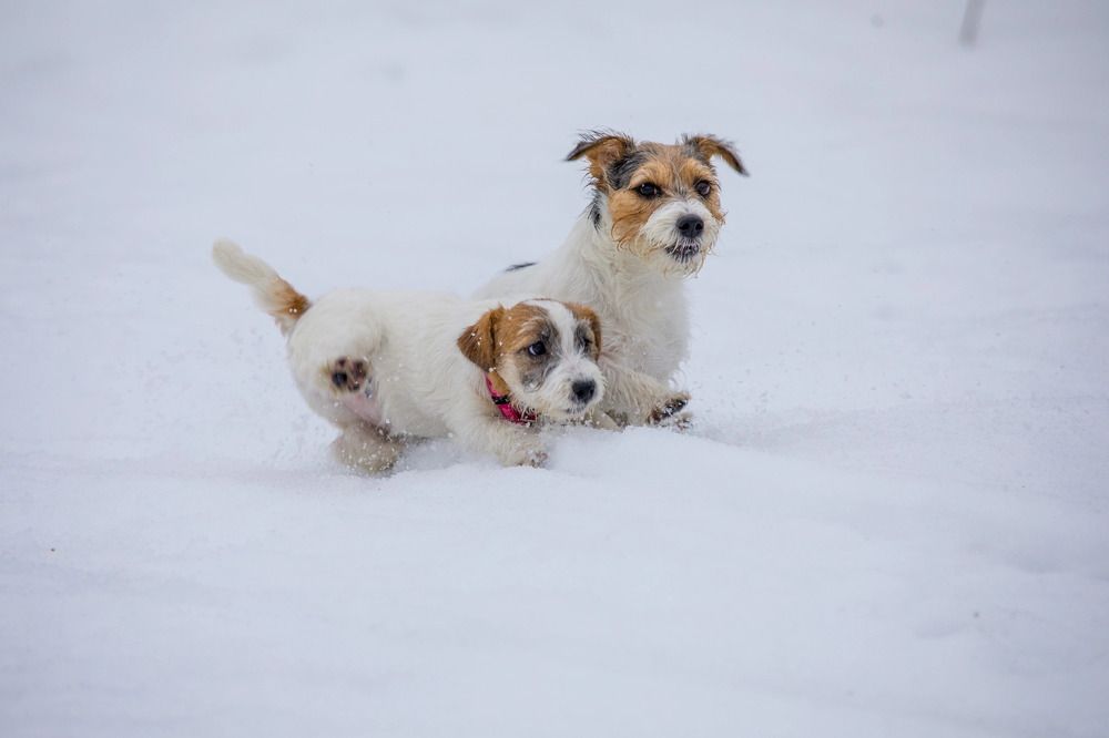 Photograph by Елена Данченко