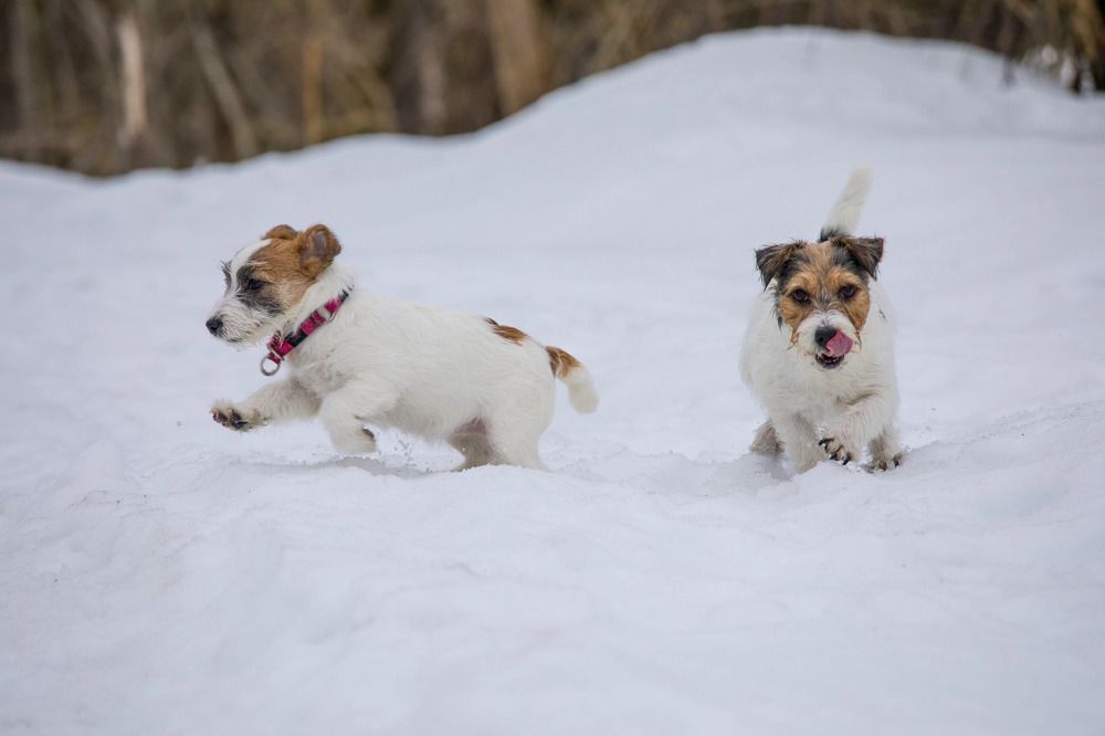 Photograph by Елена Данченко