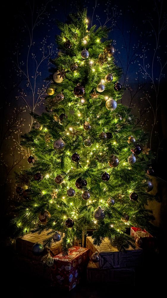 Photograph by Ekaterina Slepneva