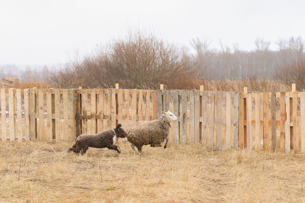Photograph by наталья залогина