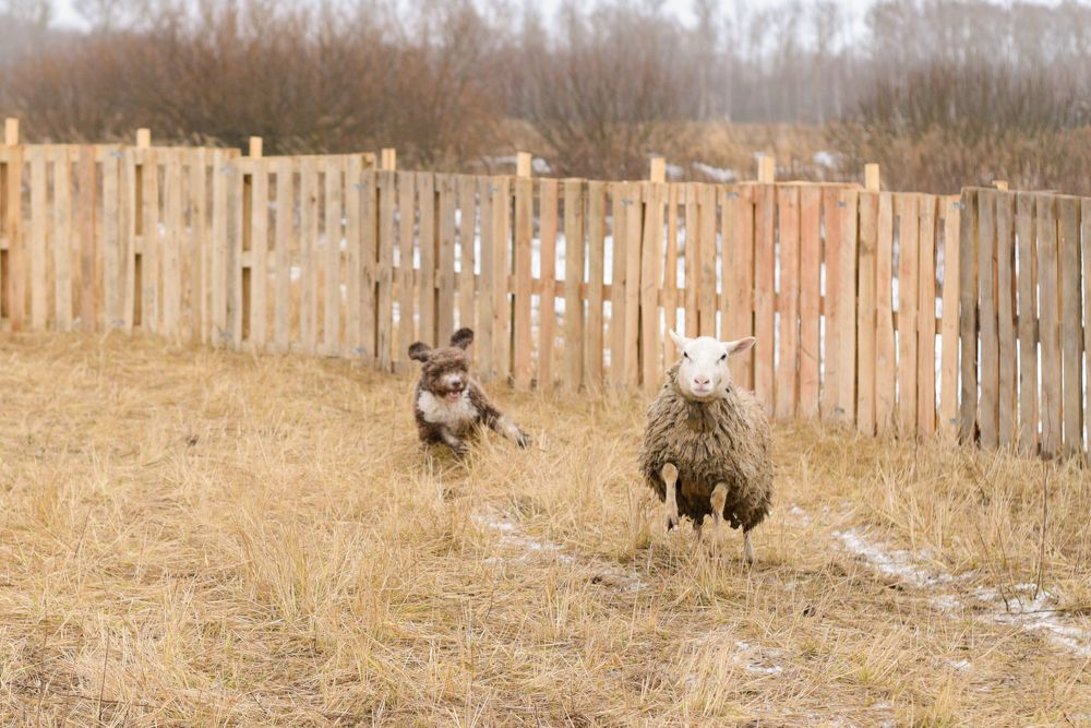 Photograph by наталья залогина