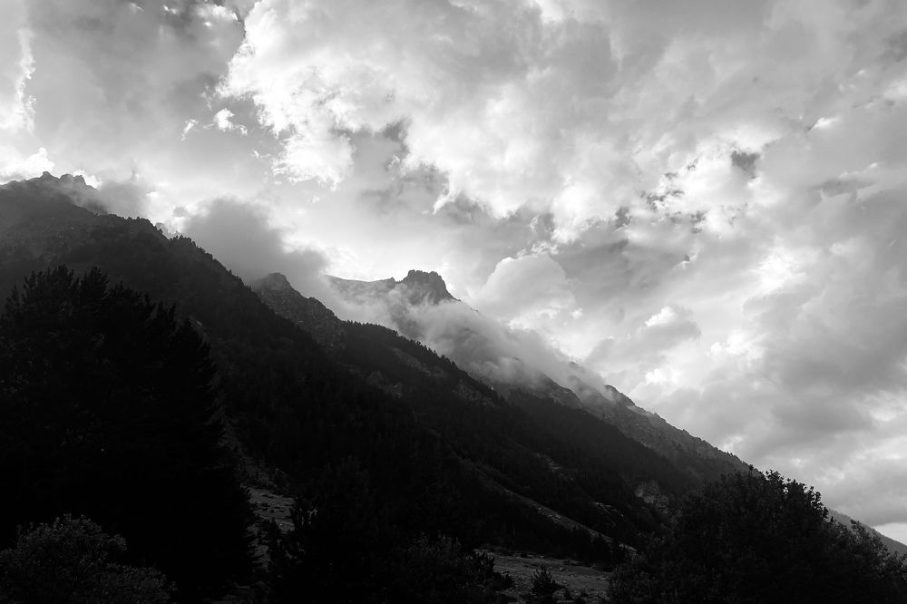 Photograph by Алина Цымбал