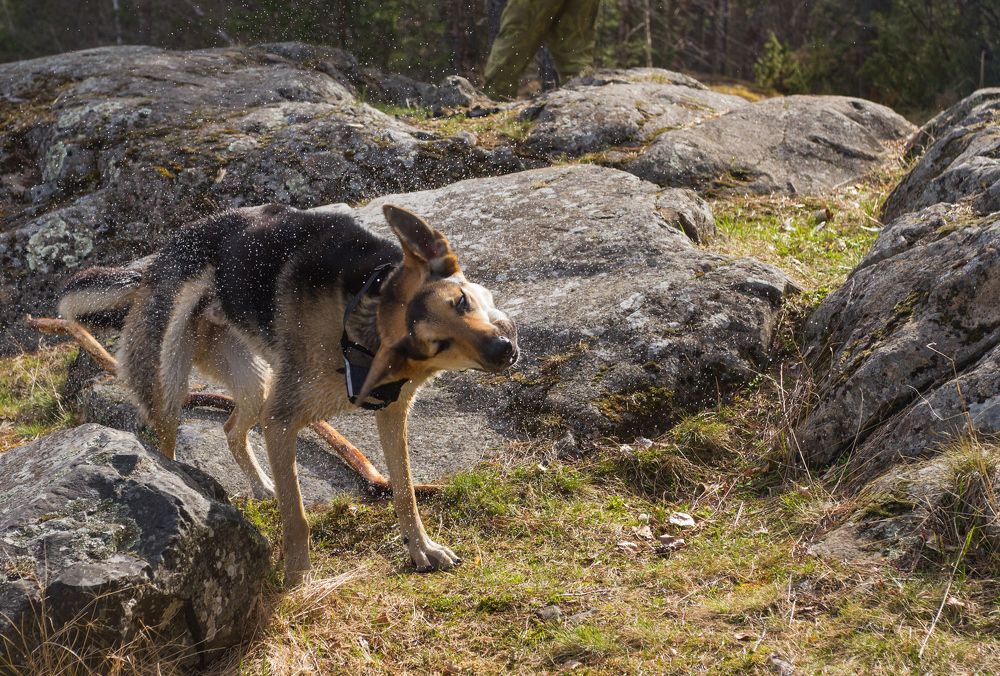 Photograph by Pavel Gukov