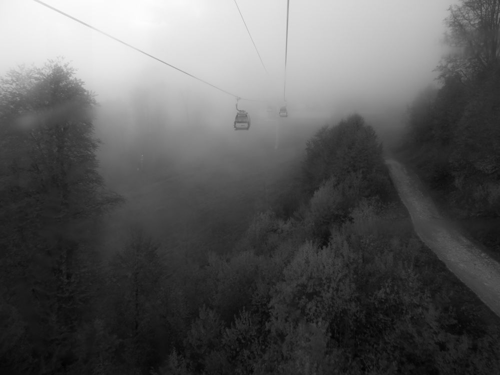 Photograph by Шейко Анна