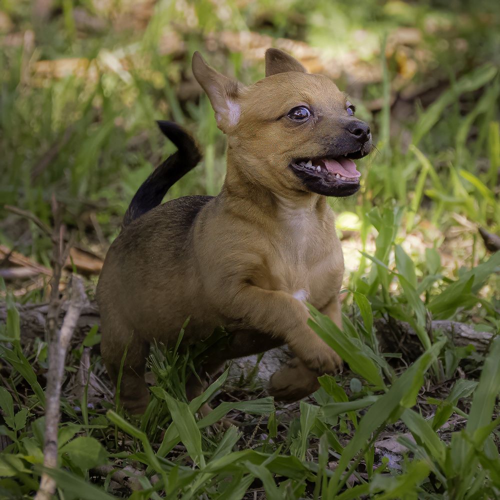 Фотография автора Ray Asiala