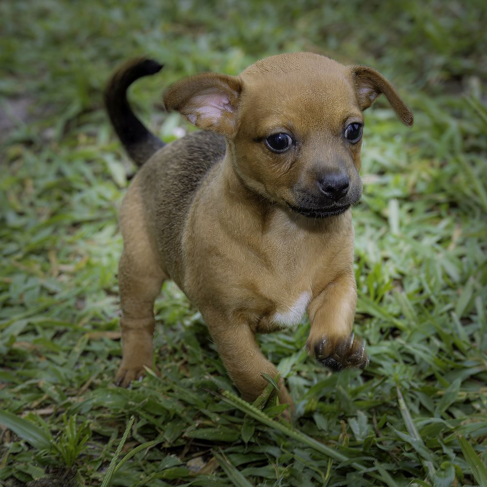 Фотография автора Ray Asiala