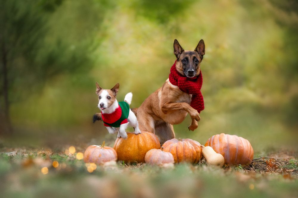 Photograph by Андрианова Ирина