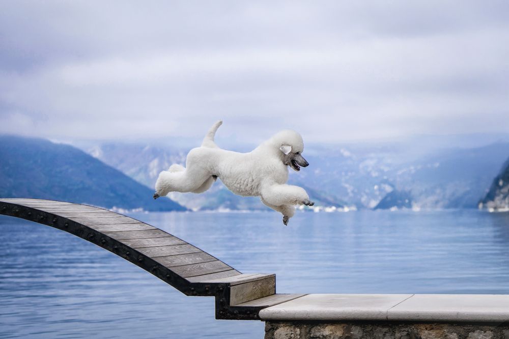 Photograph by Андрианова Ирина