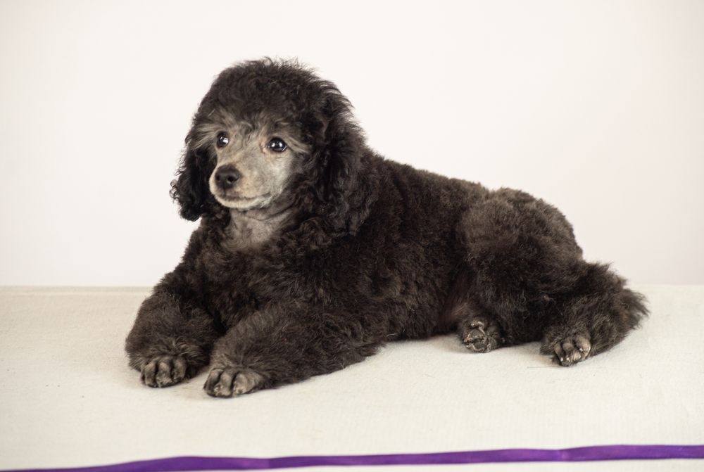 Photograph by Сергей Хранитель