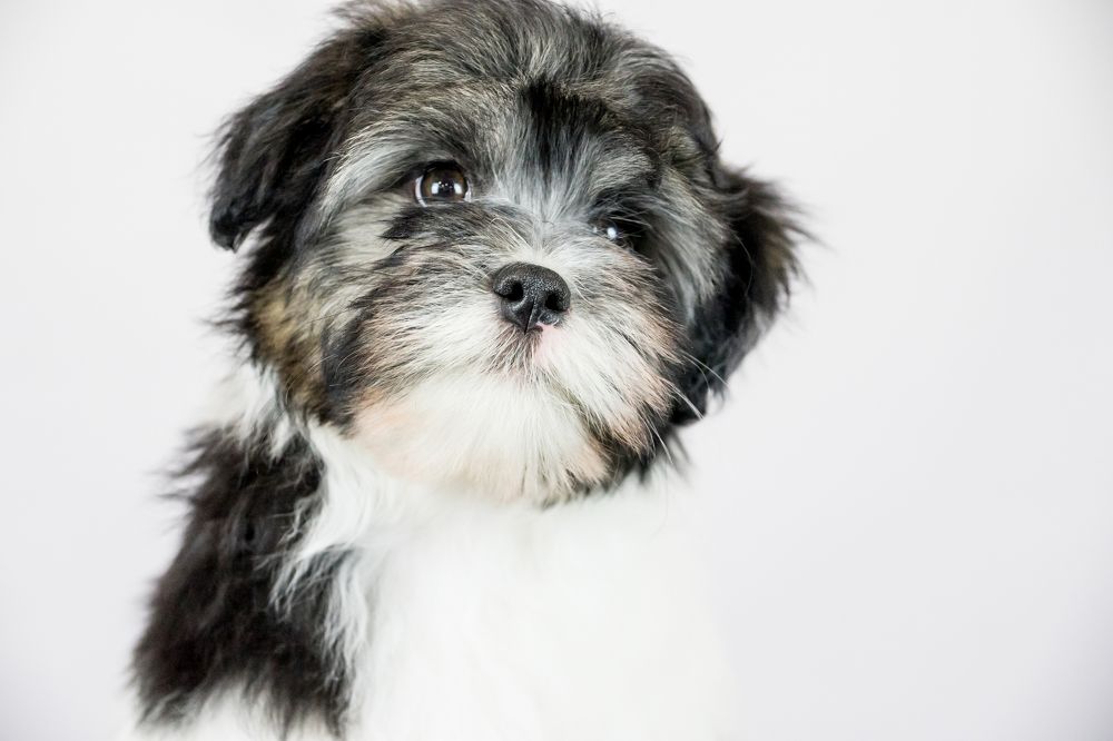 Photograph by Сергей Хранитель