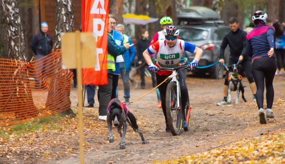 Photograph by Сергей Хранитель