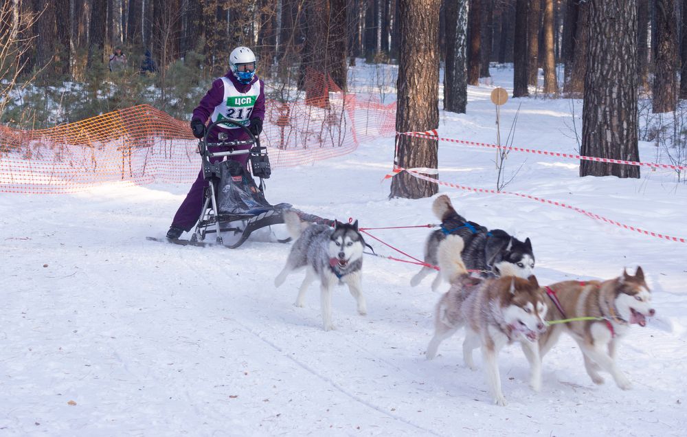 Photograph by Сергей Хранитель