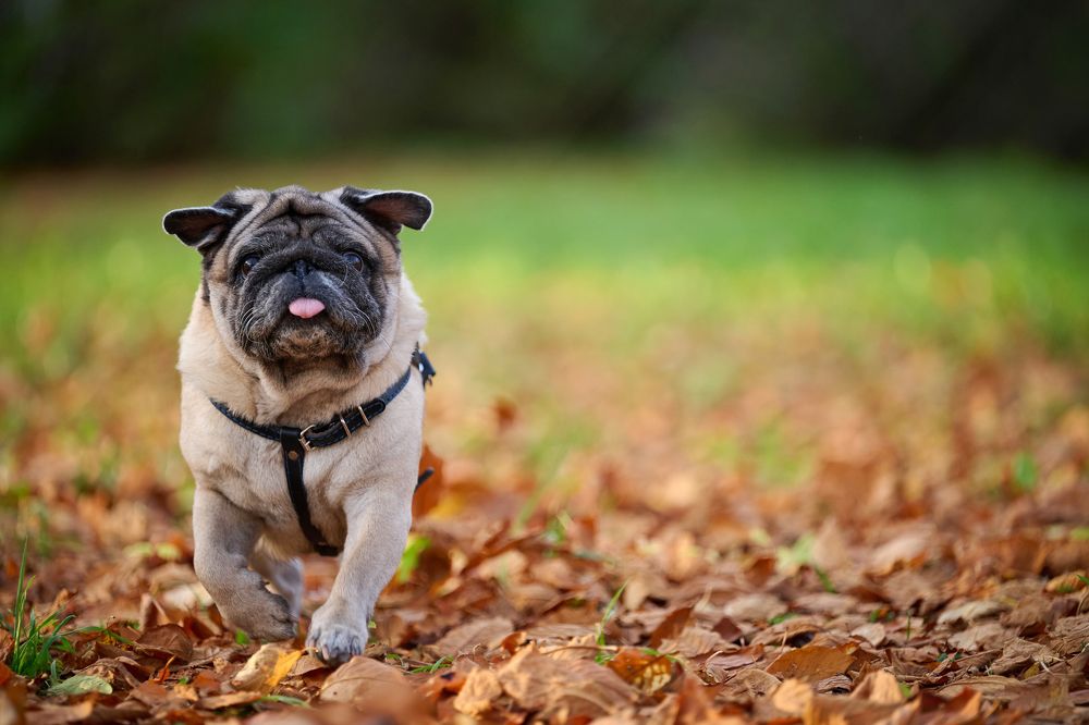 Photograph by Александр