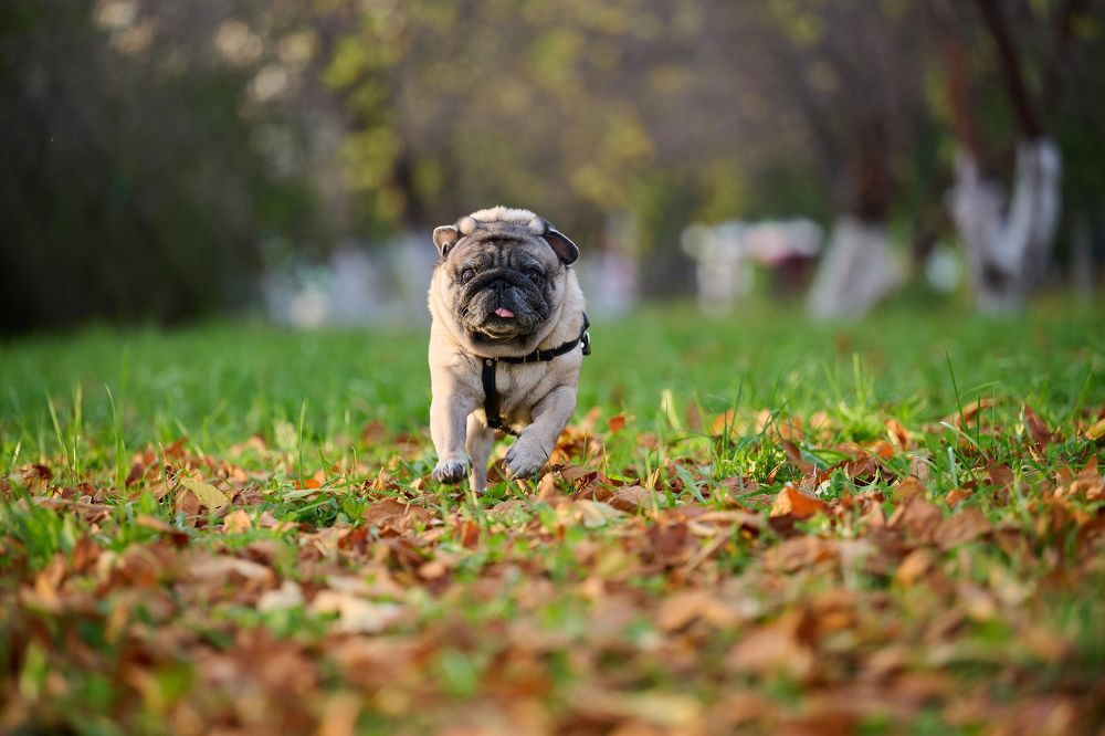 Photograph by Александр