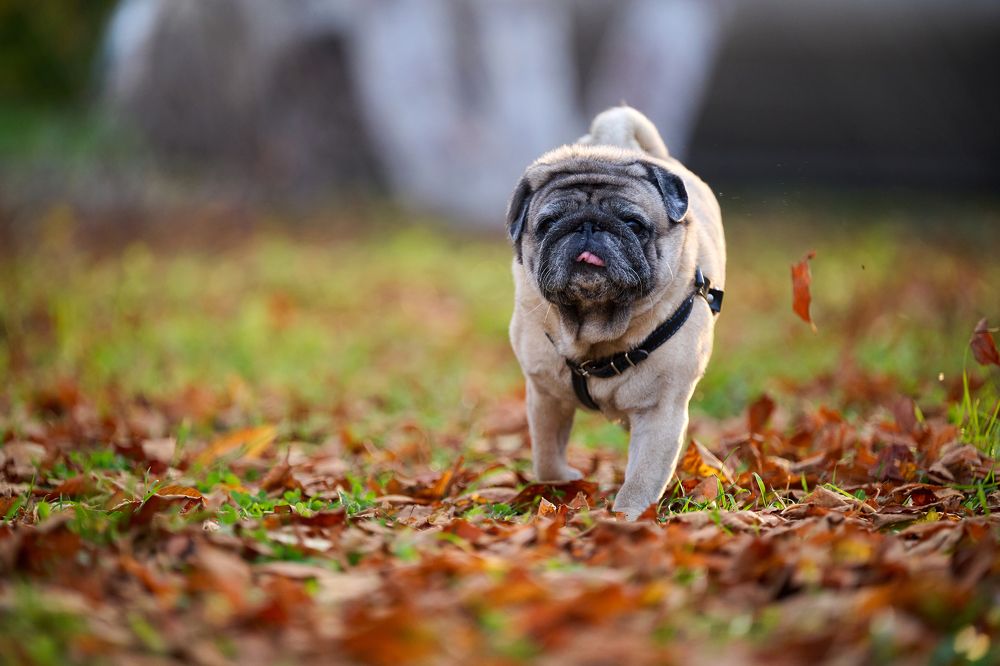 Photograph by Александр