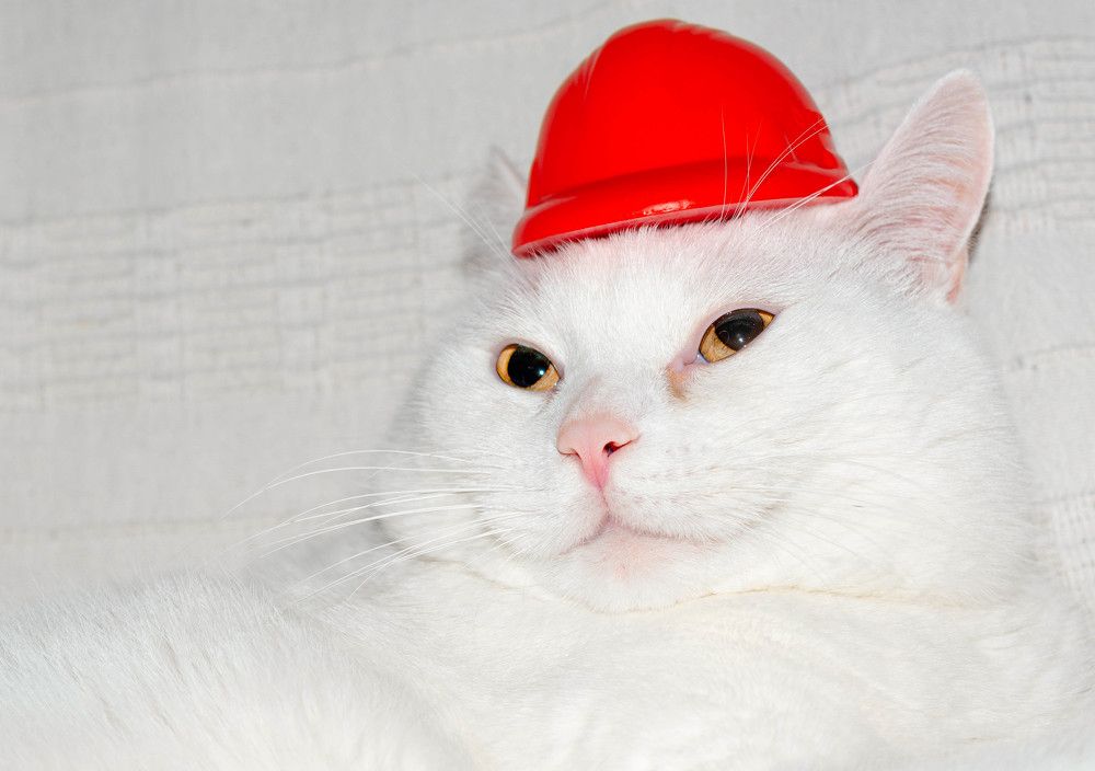 Photograph by Максим Жухлистов