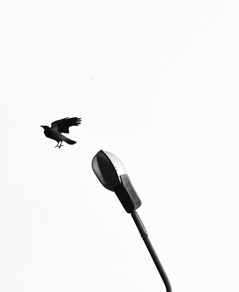 Photograph by Игорь Лещинский