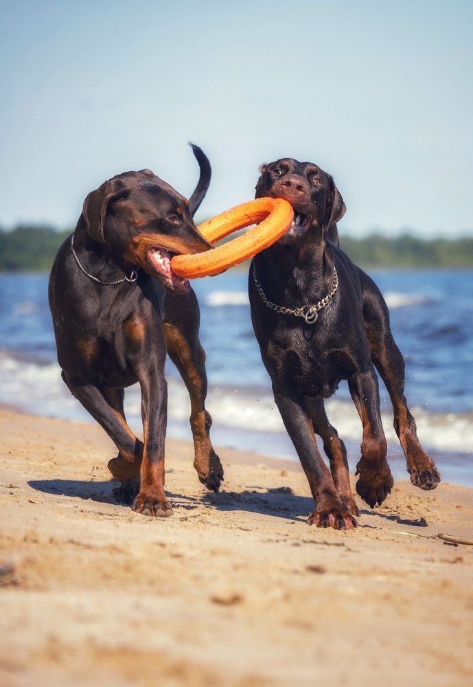 Photograph by Татьяна